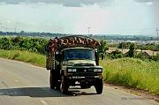 Zimbabwe busses (7)